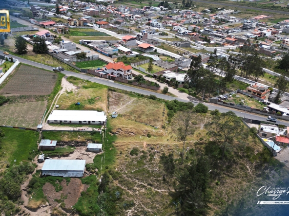 198 - Constante Patricia