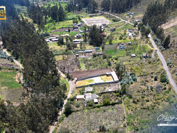 193 - Angel Naranjo -Cevallos - 3