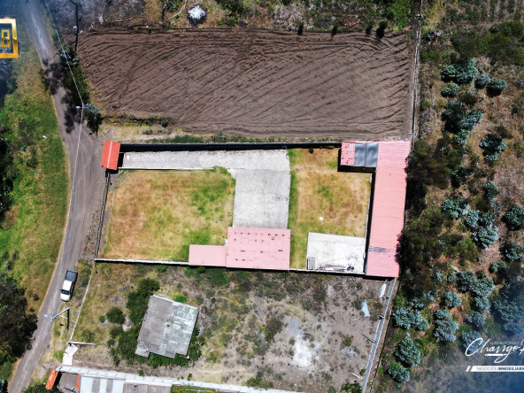 193 - Angel Naranjo -Cevallos - 4