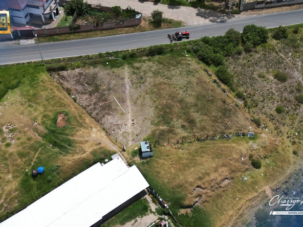 198 - Constante Patricia