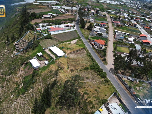 198 - Constante Patricia