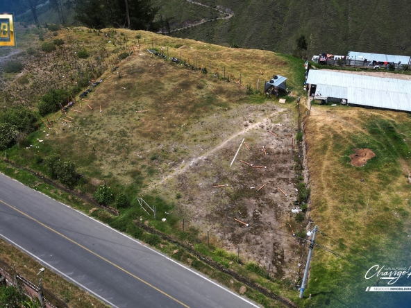 198 - Constante Patricia