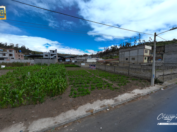 TERRENO EN SECTOR COMERCIAL - MERCADO MAYORISTA DE PELILEO-2