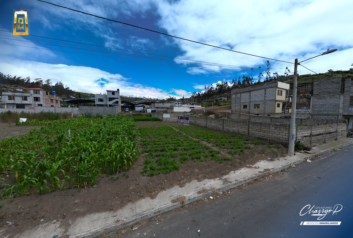 TERRENO EN SECTOR COMERCIAL - MERCADO MAYORISTA DE PELILEO-2