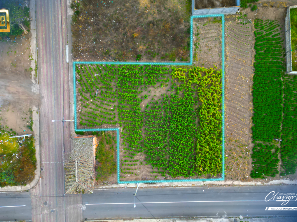 Terreno en Sector Comercial Mercado Mayorista de Pelileo - 1
